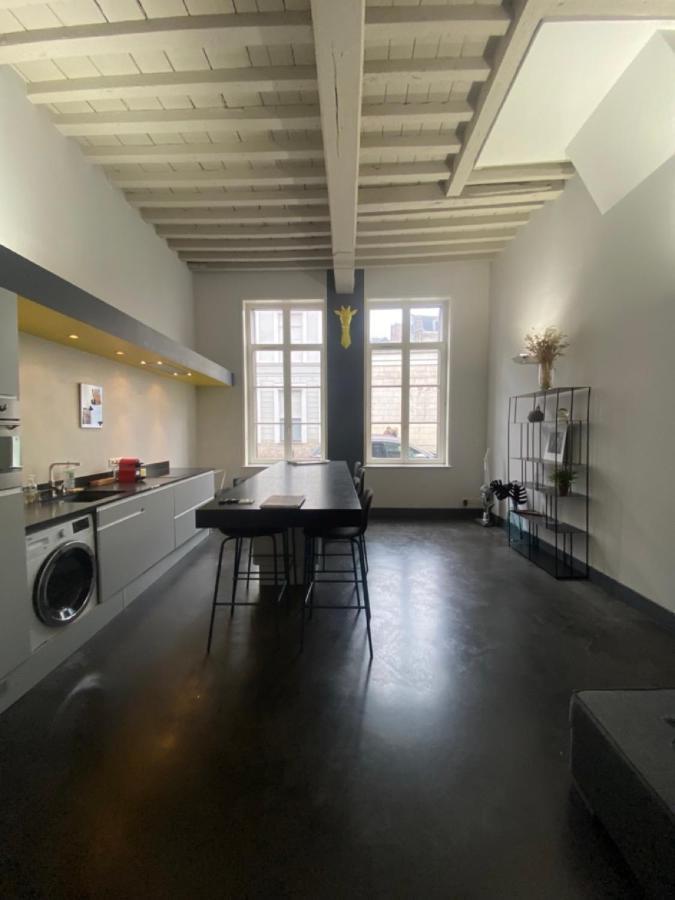 Apartament Au Beau Lieu De Metz Lille Zewnętrze zdjęcie