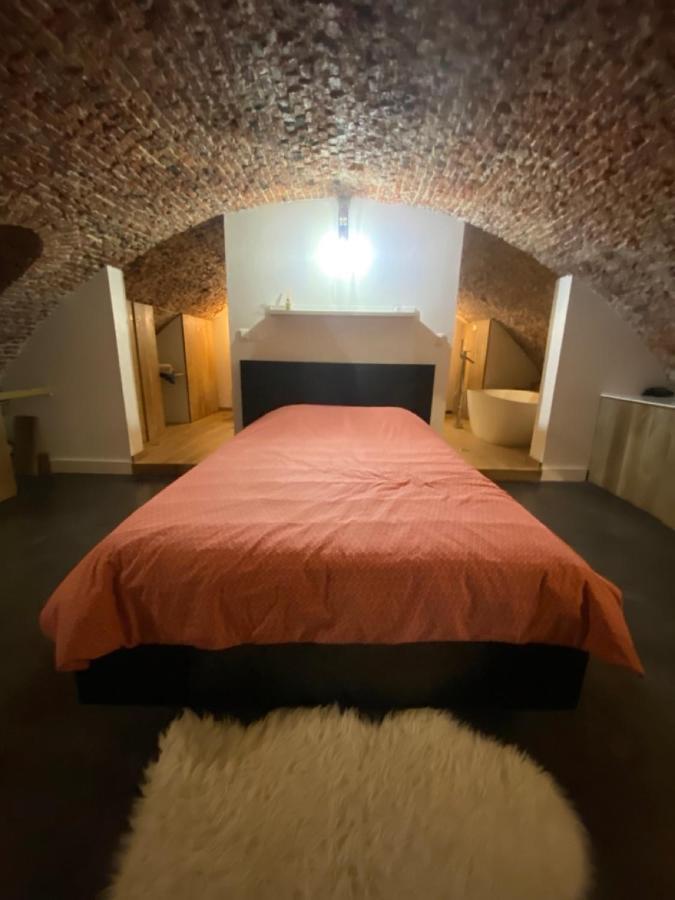 Apartament Au Beau Lieu De Metz Lille Zewnętrze zdjęcie